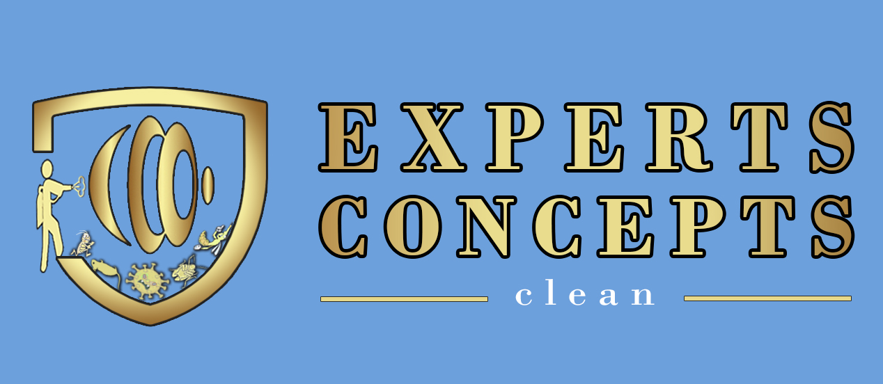 clean experts concepts